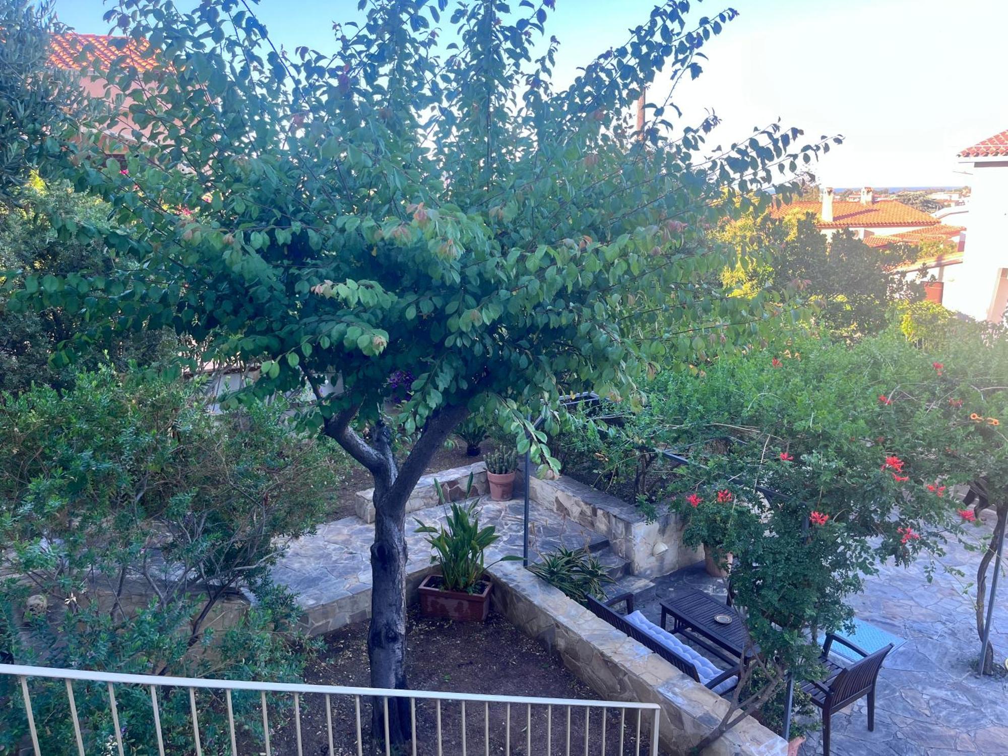 Villa Fatta Di Sogni Pula Eksteriør billede